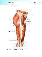 Sobotta  Atlas of Human Anatomy  Trunk, Viscera,Lower Limb Volume2 2006, page 329